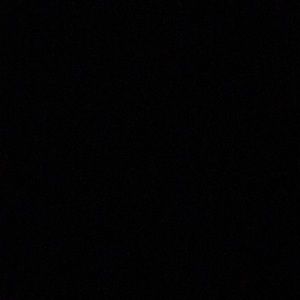 Meet your Posher, Damonnie